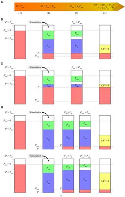 Postsynaptic Potential Energy as Determinant of Synaptic Plasticity